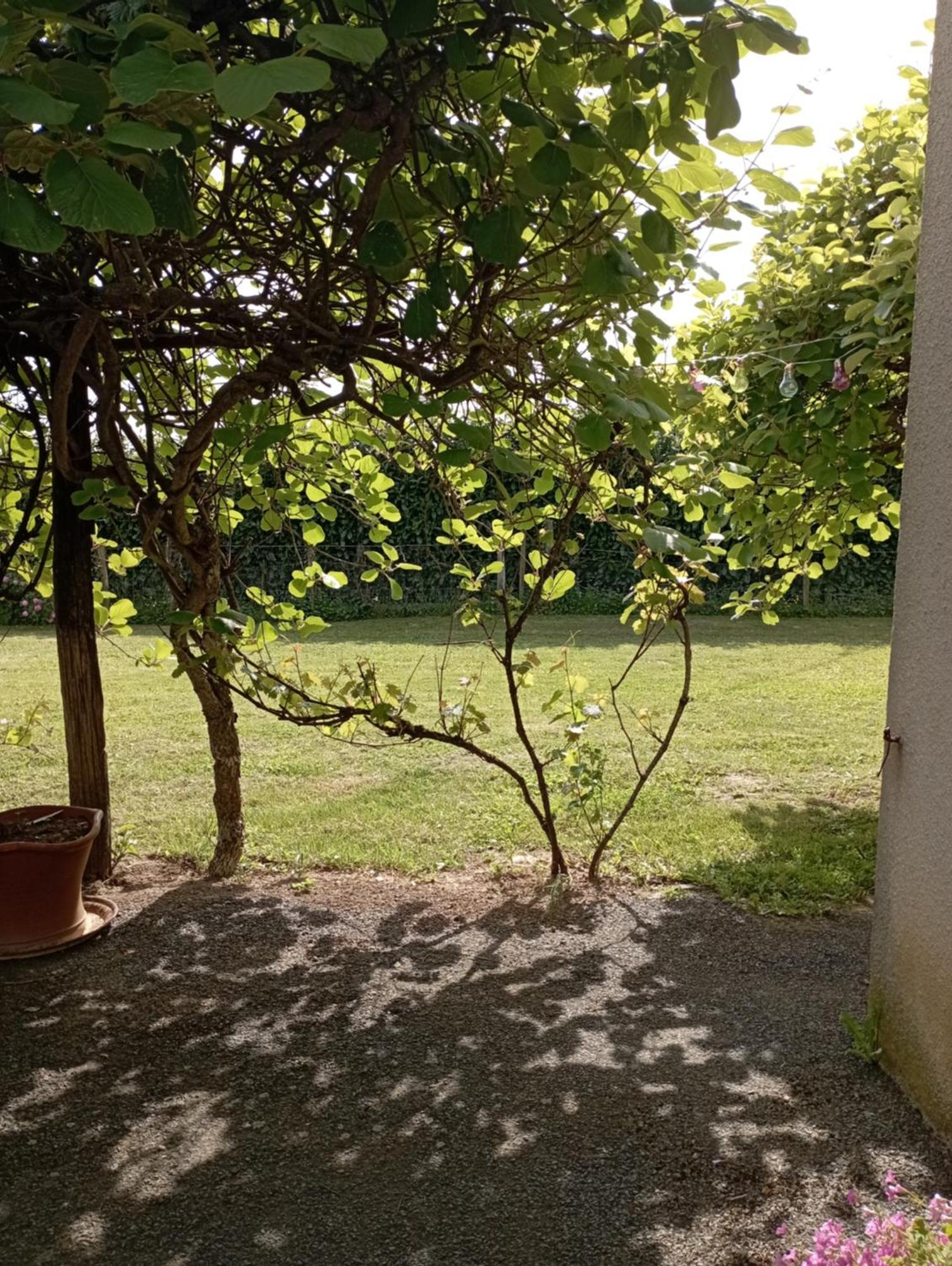 le gite de margot Beyssac Extérieur photo